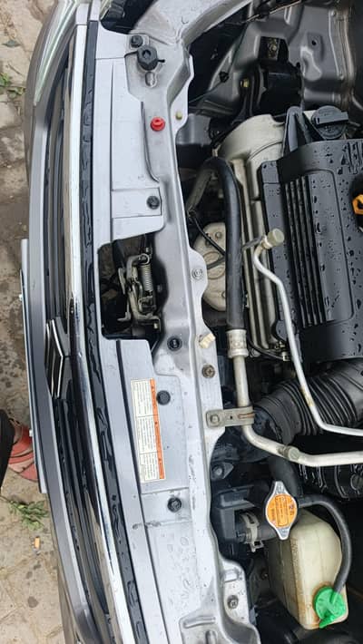wagno vxl for sale