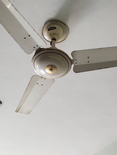 8 Ceiling fans (used) for sale