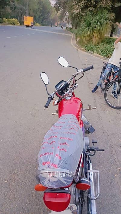 neat and clean bike genien