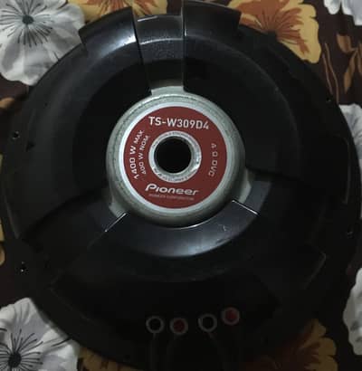 Pioneer Subwoofer 309 D4