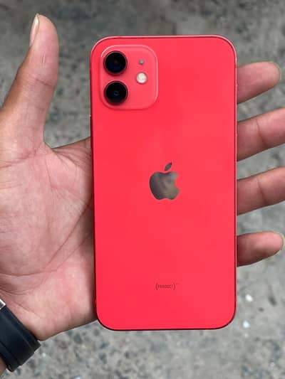I phone 12