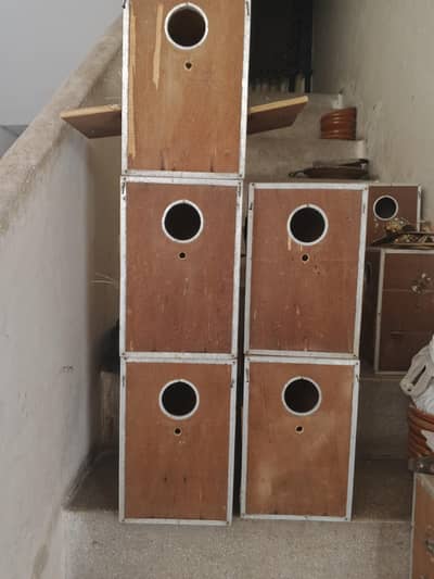 Breeding Box Size 8x8x12