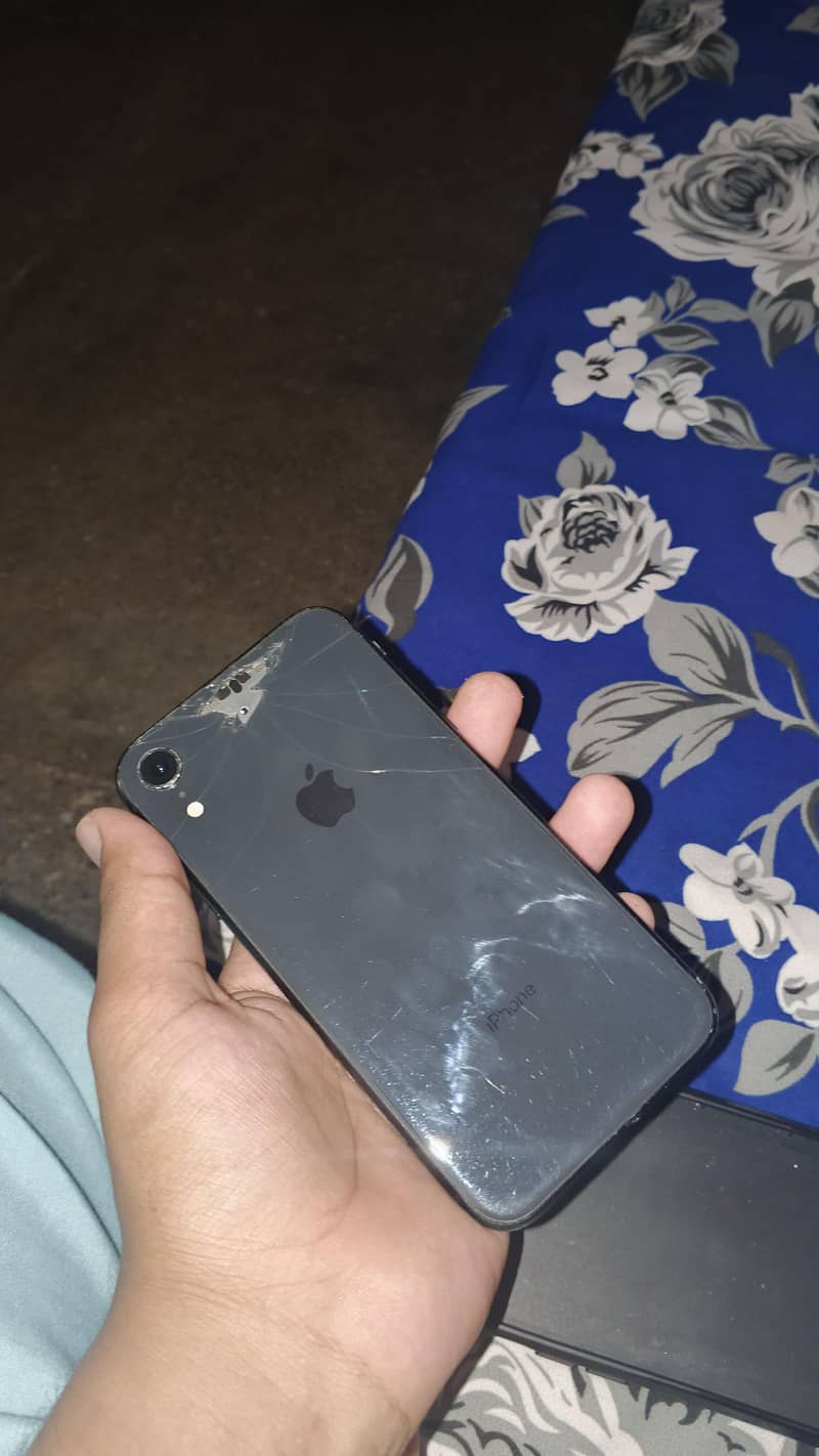 Iphone XR 6