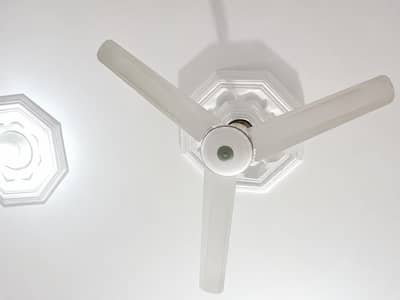 pak fan
