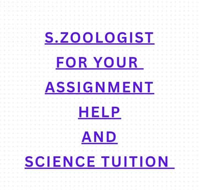 BSc BS Zoology Handwritten Assignments Plus Diagrams Fast And Neat