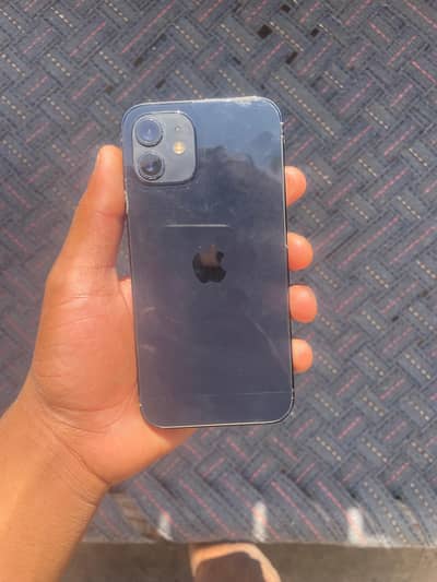 Apple iPhone 12