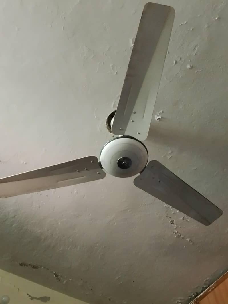 pak fan 1