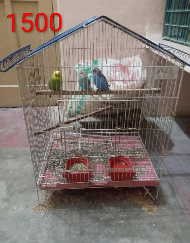 Cages 4