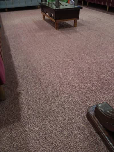 Mahroon Colour Carpet