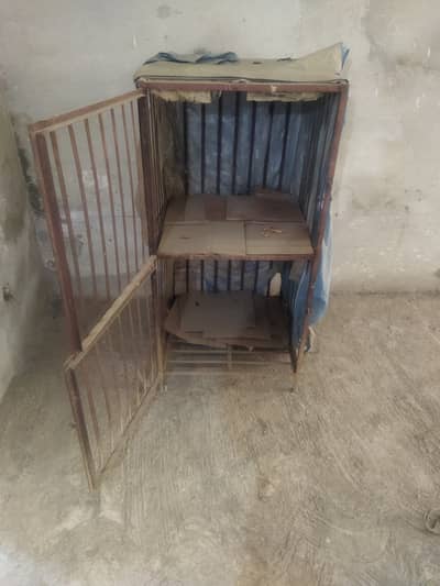 Hen Cage