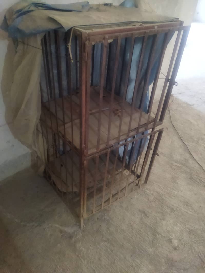 Hen Cage 1