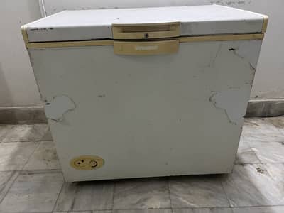 Waves- Freezer Available for sale