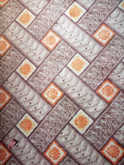 carpet for sale 13*5 arjant sale