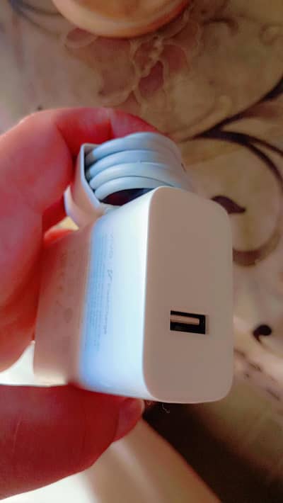 Vivo 80w charger original