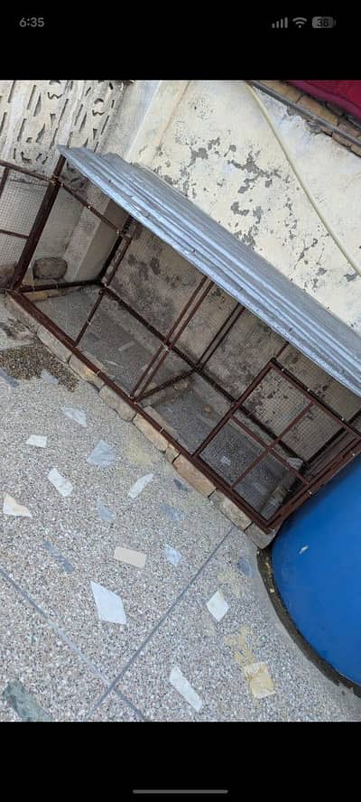 hen cage for sale