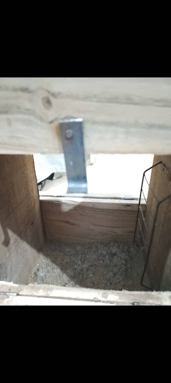 Raw breeding box 4