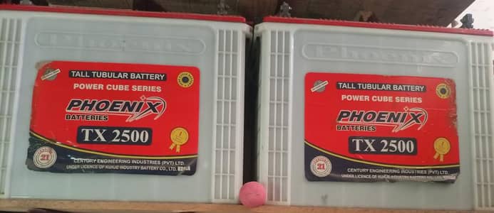 Phoenix tall  tubular battery 2500