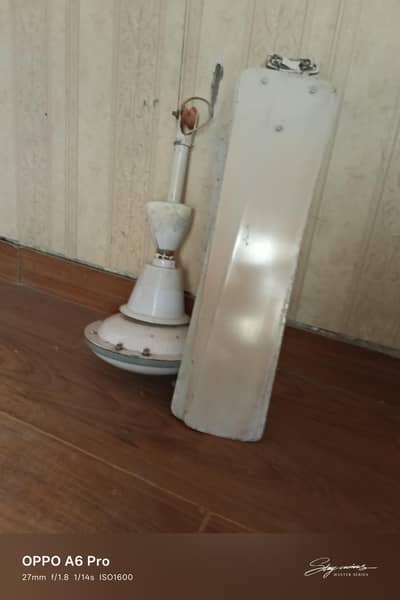 Ceiling Fan 220V