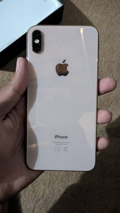 Xs max 256 gb pta dual