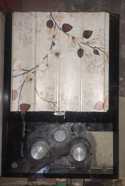 INSTANT GAS GEYSER 6 LITTER
