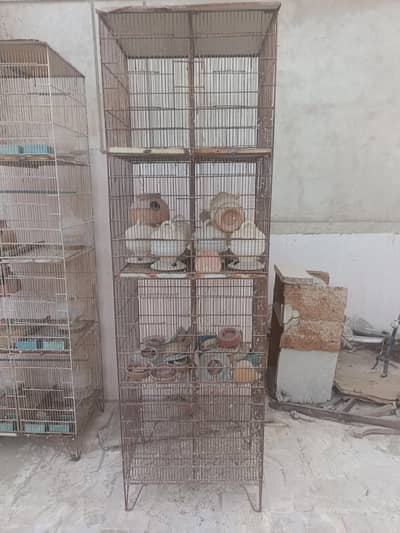 Cages