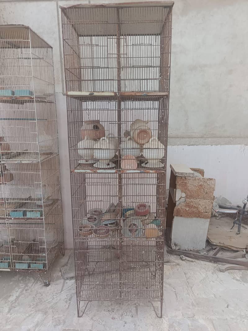 Cages 0