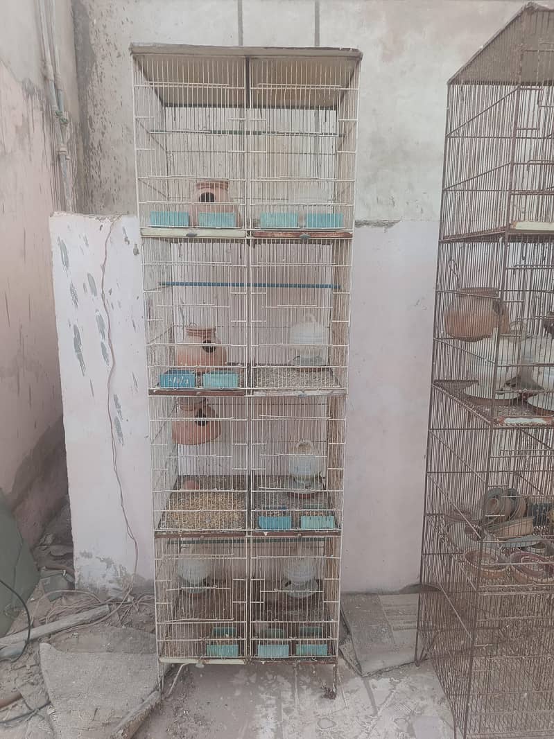 Cages 1