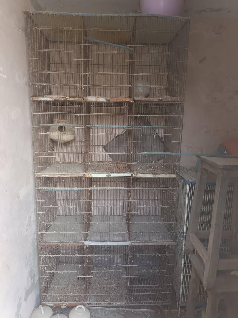 Cages 3