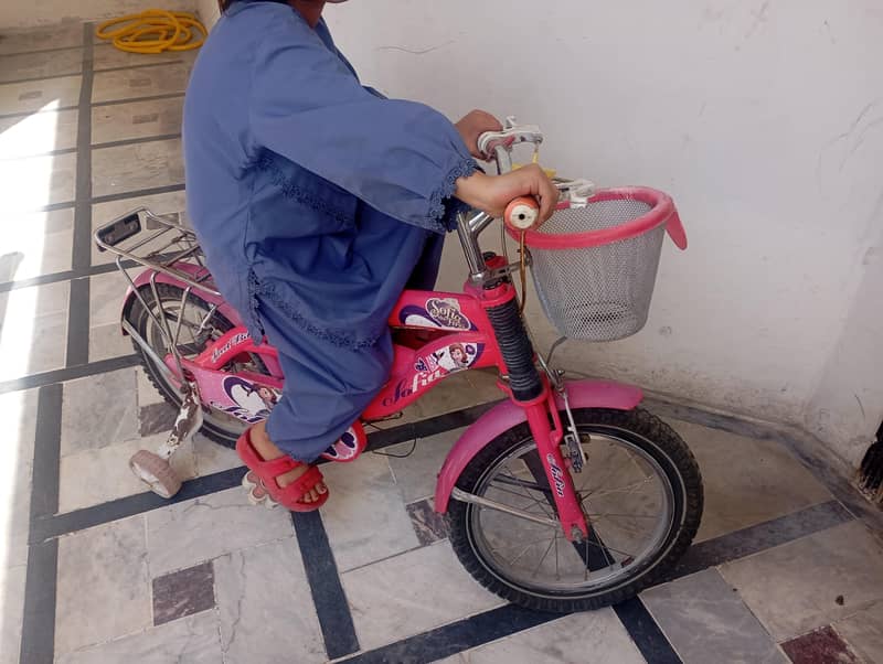 cycle 0