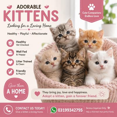 adorable kittens