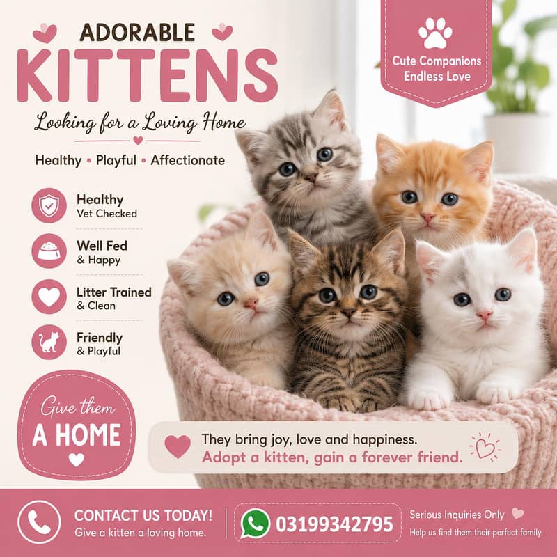 adorable kittens 0