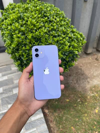 iPhone 12 - Non PTA - Factory Unlock