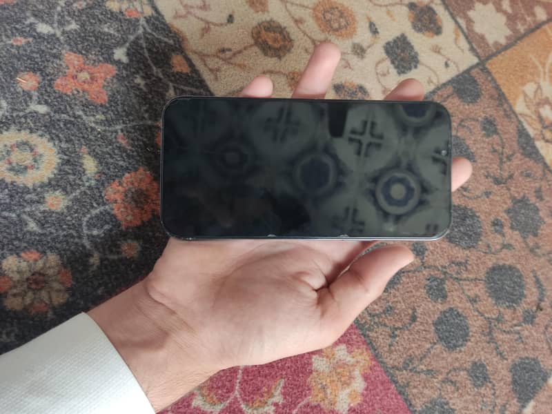 iphone 13 pro max 1