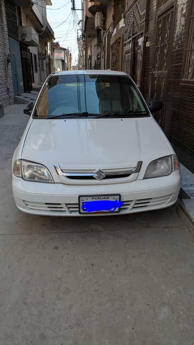 Suzuki cultus