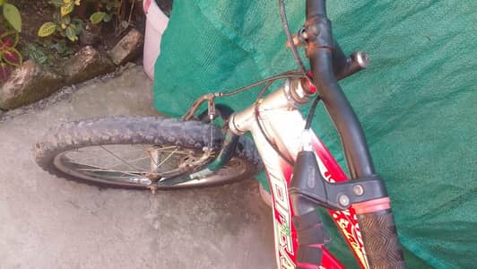 bicycle