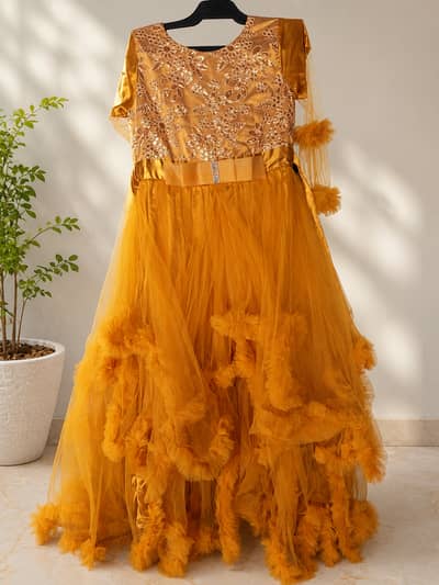 Fancy Net Frill Frock