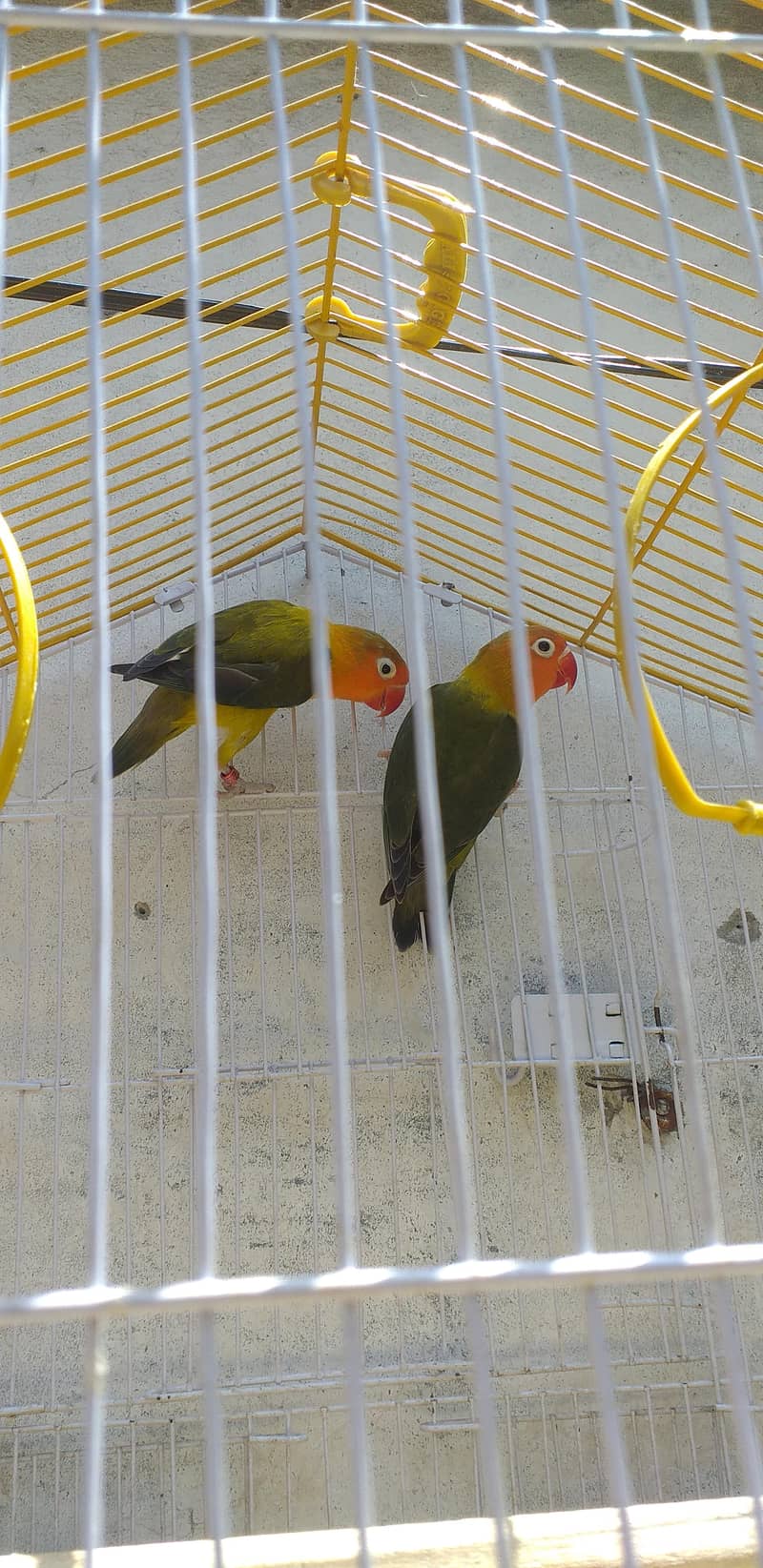 home pair 1