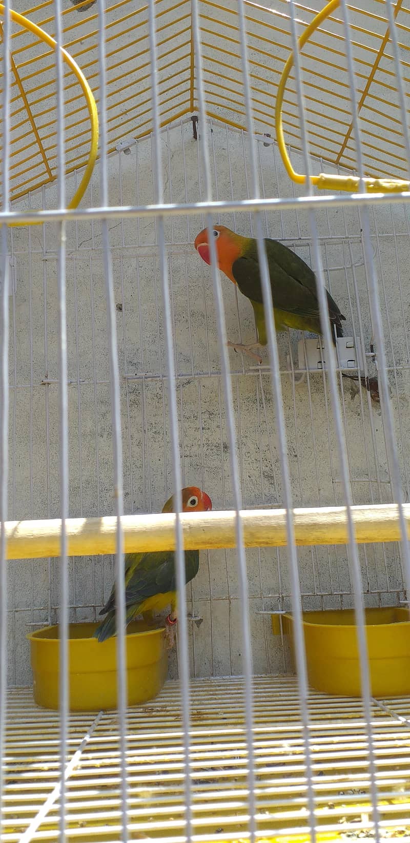 home pair 2