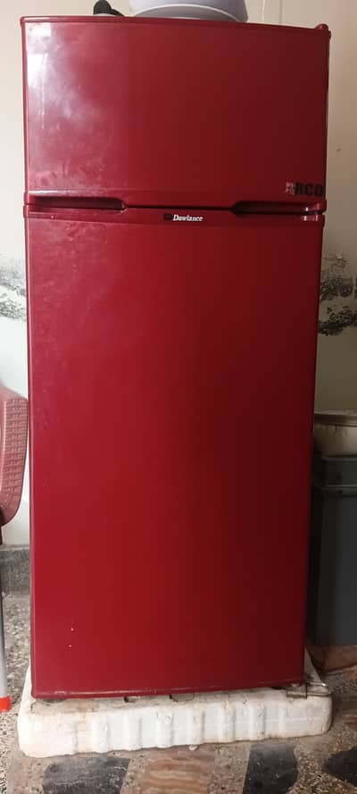 Red colour medium sized