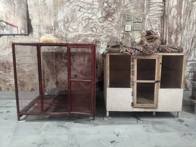 Wood And Iron Hens Cages 0/3/0/3/7/3/6/5/5/6/6