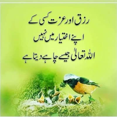 online Quran pak teacher online female available