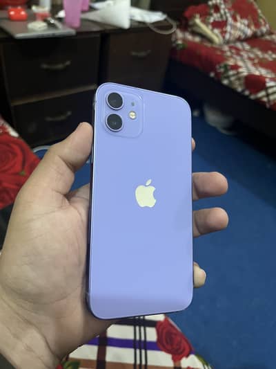 Iphone 12 128gb purple - Dual sim pta approved -- 100% battery health