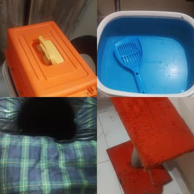 Cat Accessories Complete Bundle