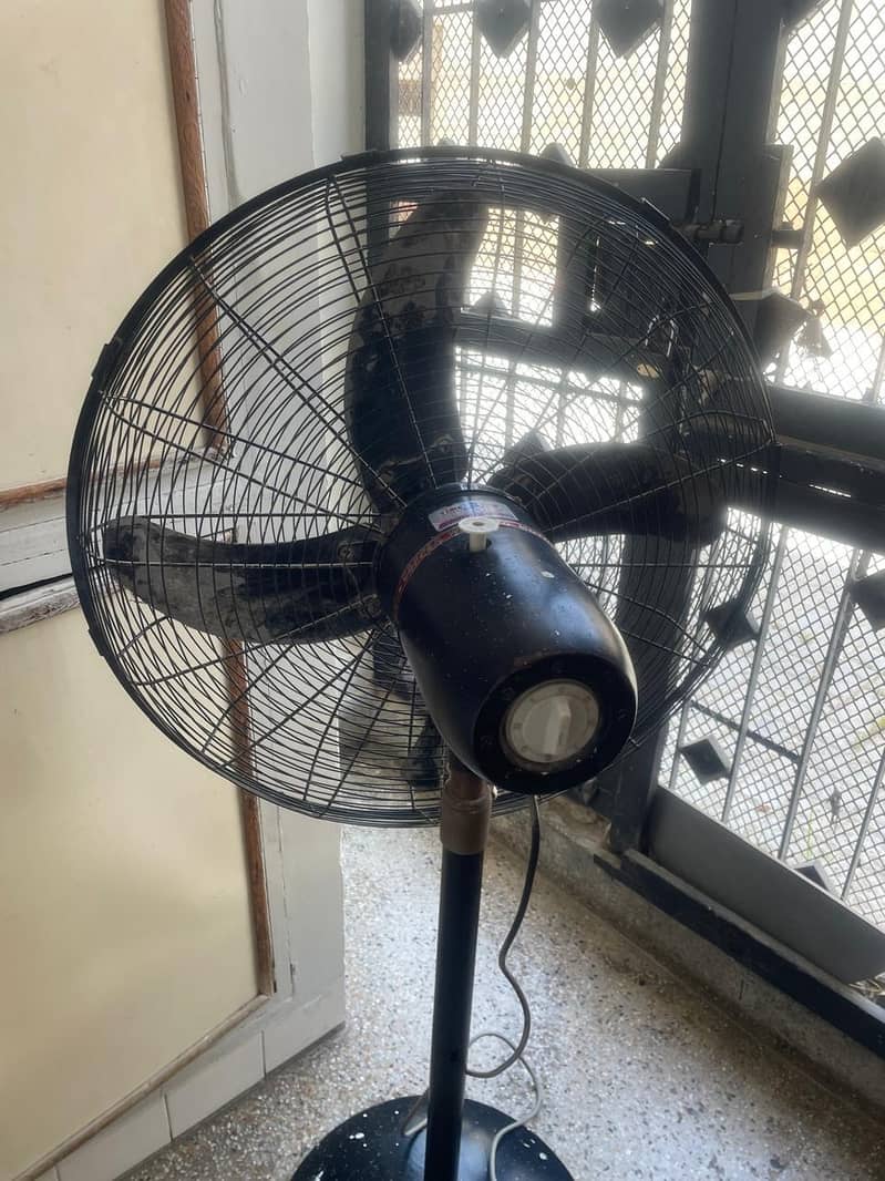 Table Fan 1