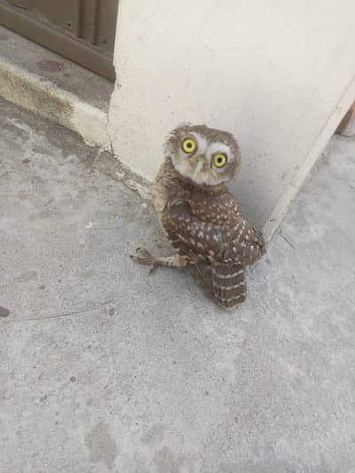jo khayal rakh saky wohi rabta kary