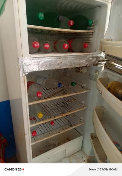 freezer mediam pel