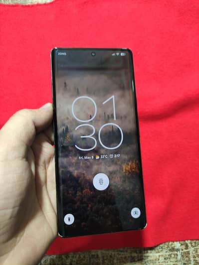 Google Pixel 6 Pro 256GB - Panel Changed