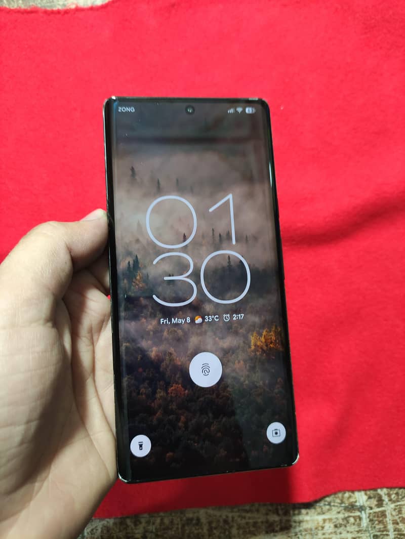 Google Pixel 6 Pro 256GB - Panel Changed 0