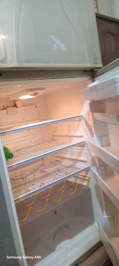 Fridge