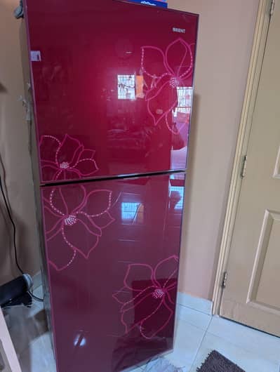 Orient Refrigerator & fridge